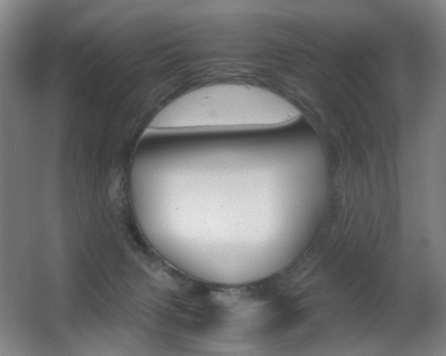 X0000062930079200601131125