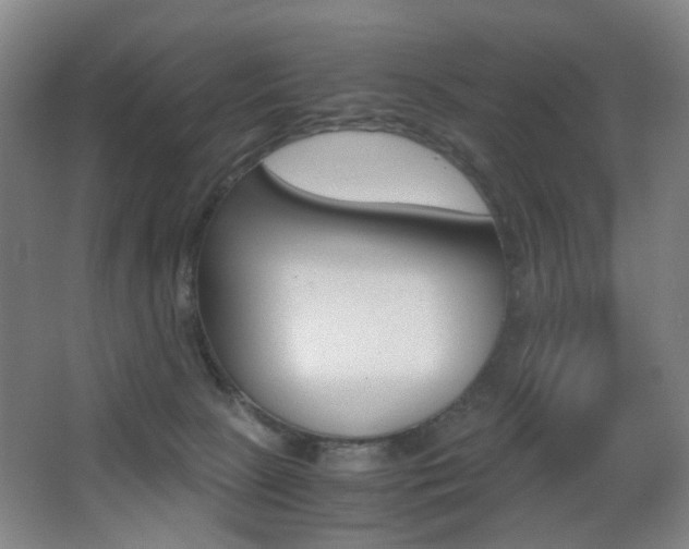 X0000062930081200601131125