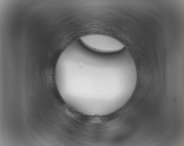 X0000062930083200601131125