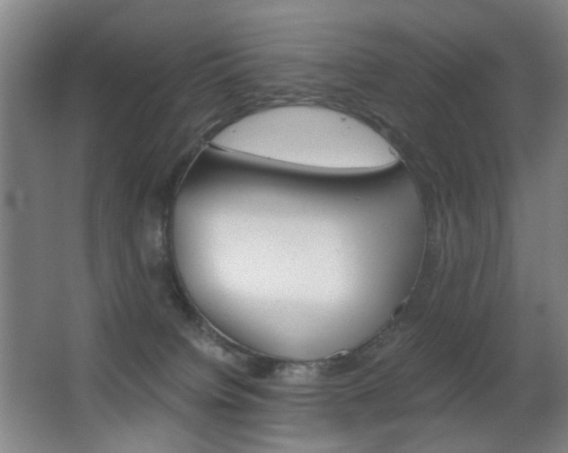 X0000062930084200601131125