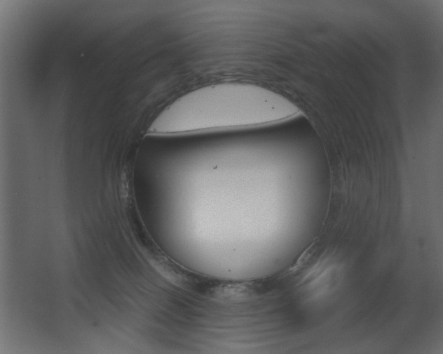 X0000062930086200601131125