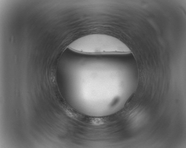 X0000062930091200601131126
