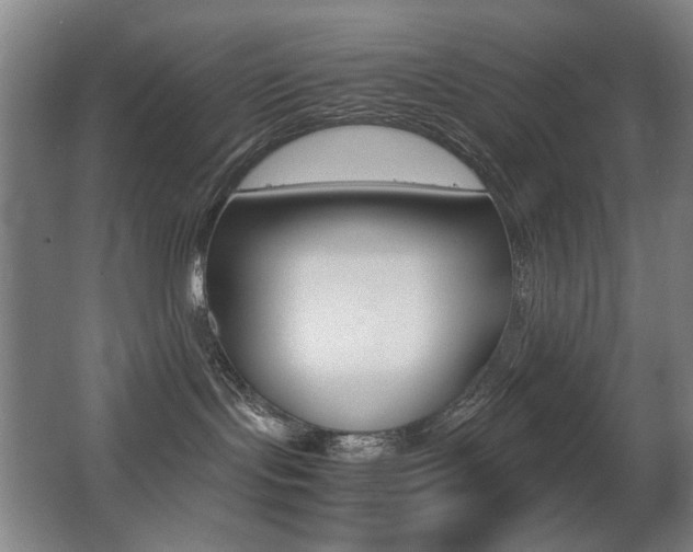 X0000062930095200601131126