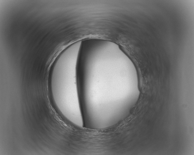 X0000062930098200601131125