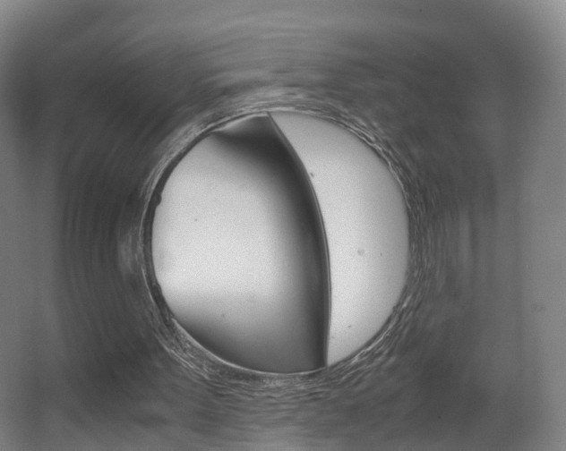 X0000062930099200601131125