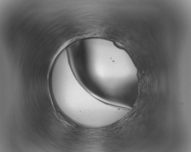 X0000062930100200601131125