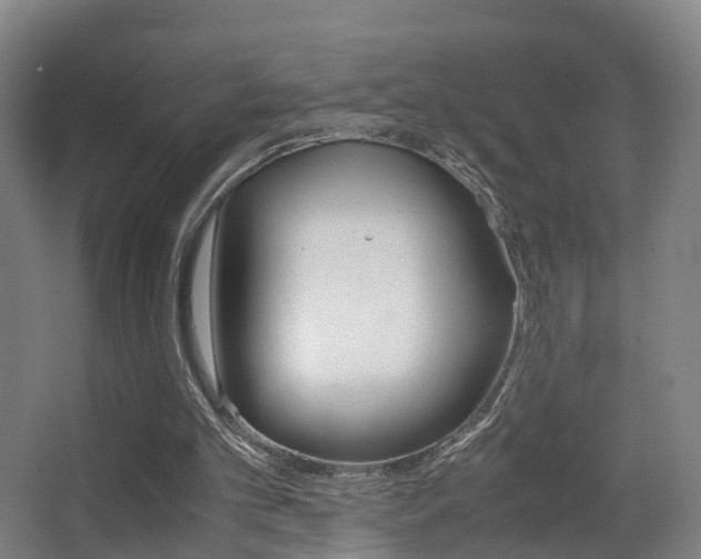 X0000062930101200601131125