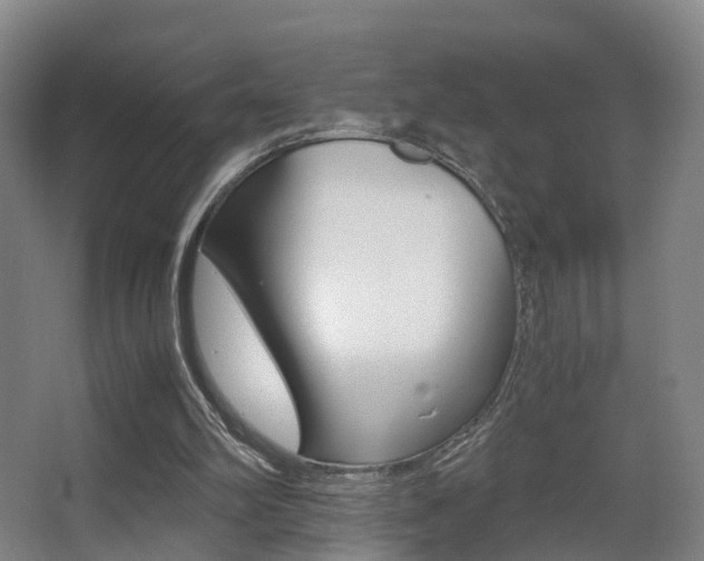 X0000062930102200601131125