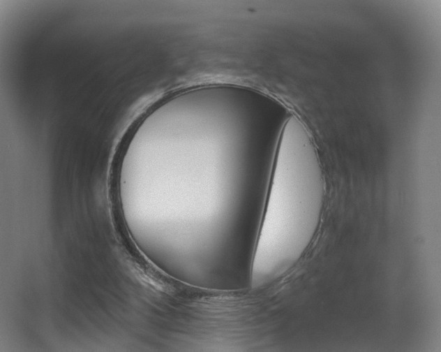X0000062930104200601131125
