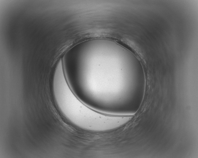 X0000062930105200601131125