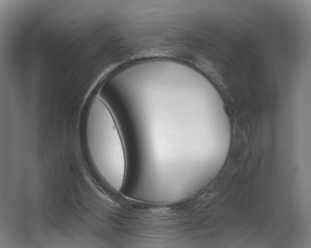 X0000062930108200601131125