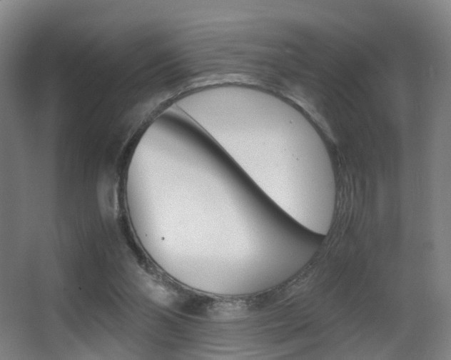 X0000062930110200601131125