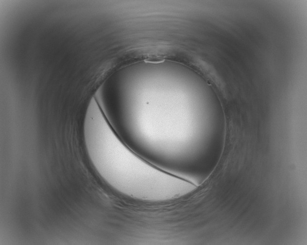 X0000062930113200601131124