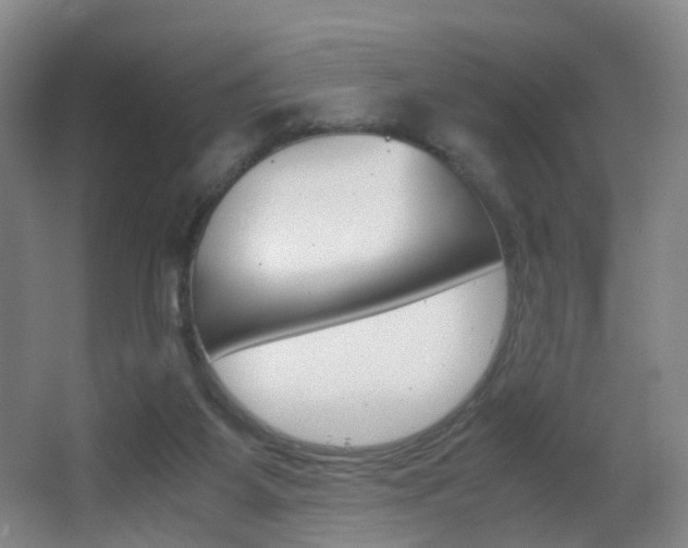 X0000062930115200601131124