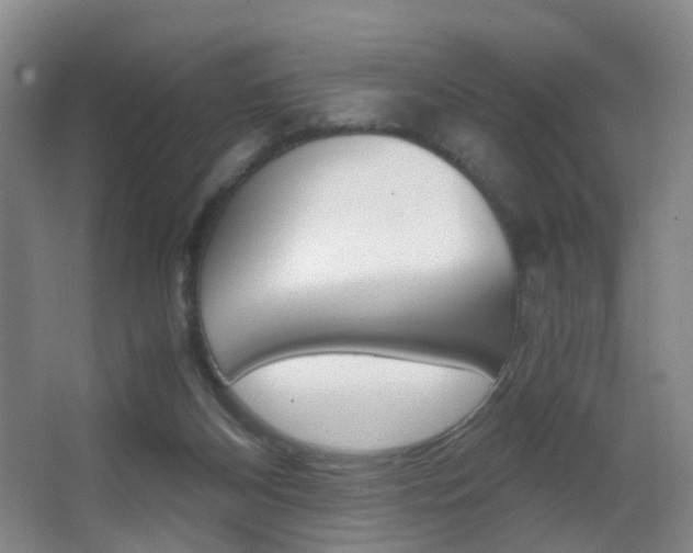 X0000062930116200601131124