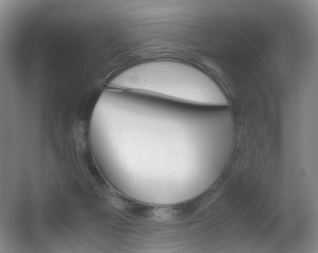X0000062930121200601131124