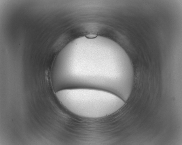 X0000062930122200601131124