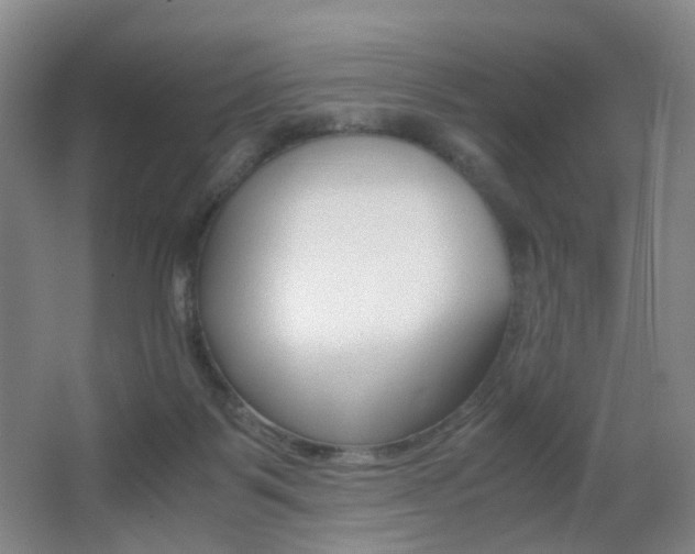 X0000062930123200601131124