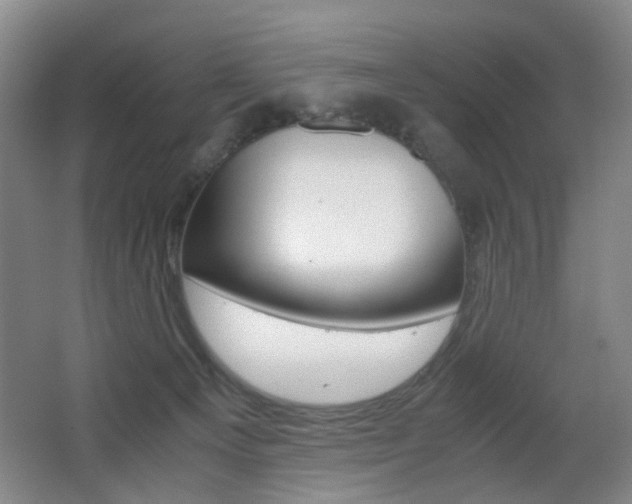 X0000062930129200601131124