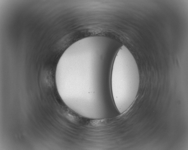 X0000062930136200601131124
