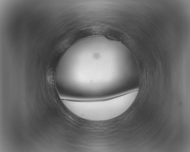X0000062930137200601131124