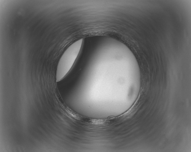X0000062930144200601131124