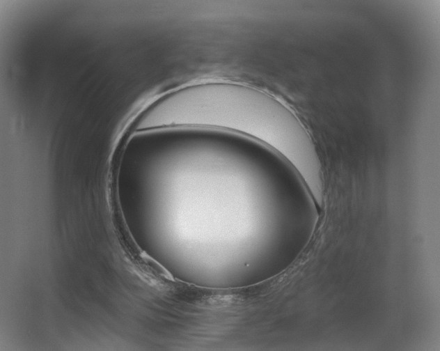 X0000062930152200601131123
