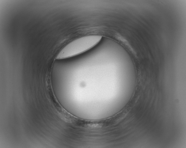 X0000062930161200601131123
