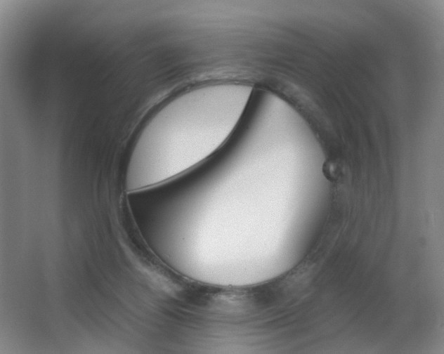 X0000062930164200601131123