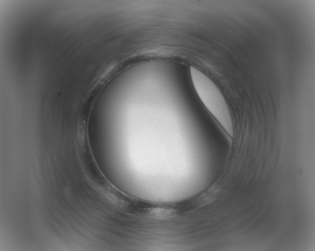 X0000062930168200601131124