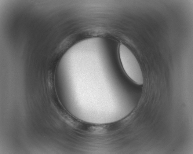 X0000062930170200601131124