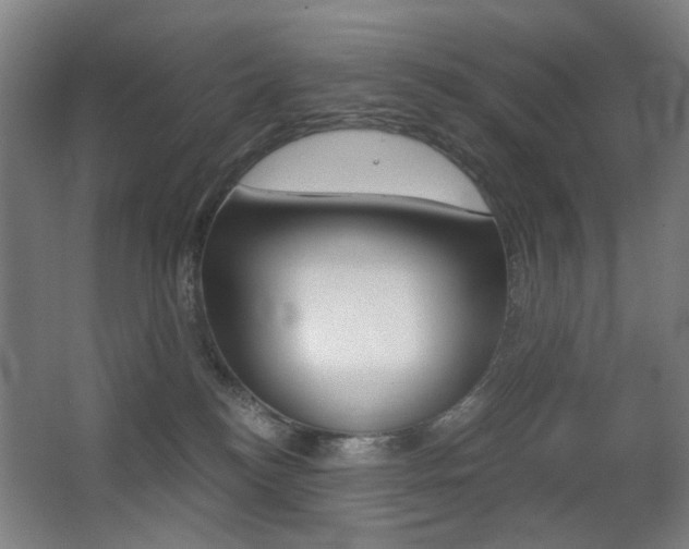 X0000062930184200601131124