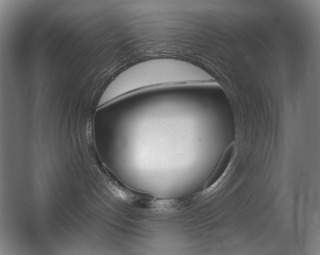 X0000062930192200601131124