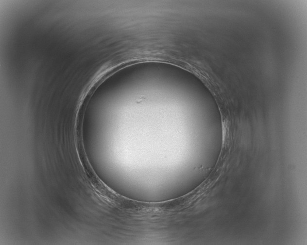 X0000062930195200601131123