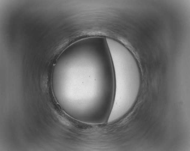 X0000062930201200601131123