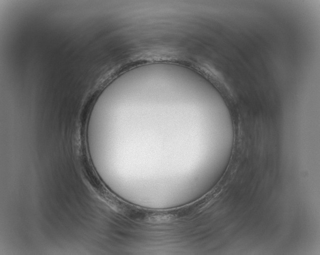 X0000062930202200601131123