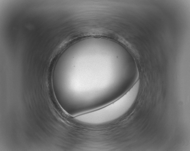 X0000062930203200601131123