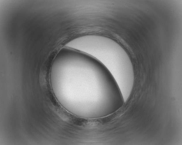 X0000062930209200601131123