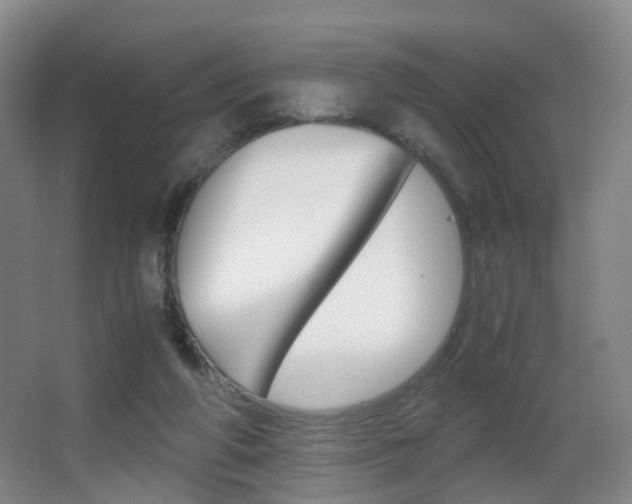 X0000062930210200601131123