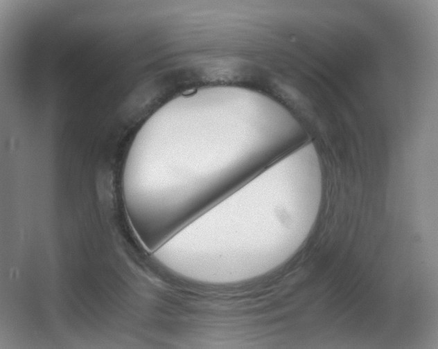 X0000062930211200601131123