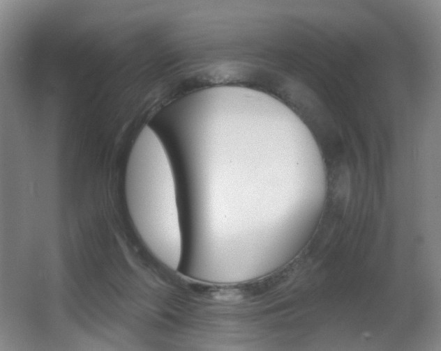 X0000062930214200601131123