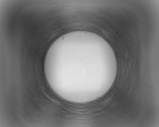 X0000062930215200601131123