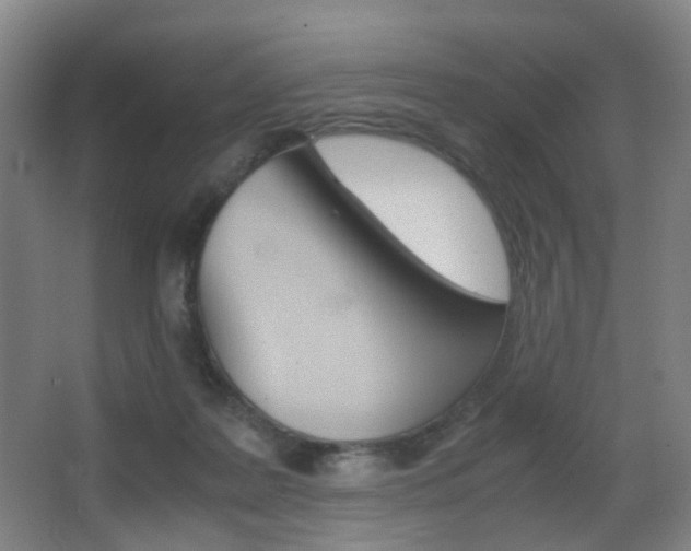 X0000062930219200601131123