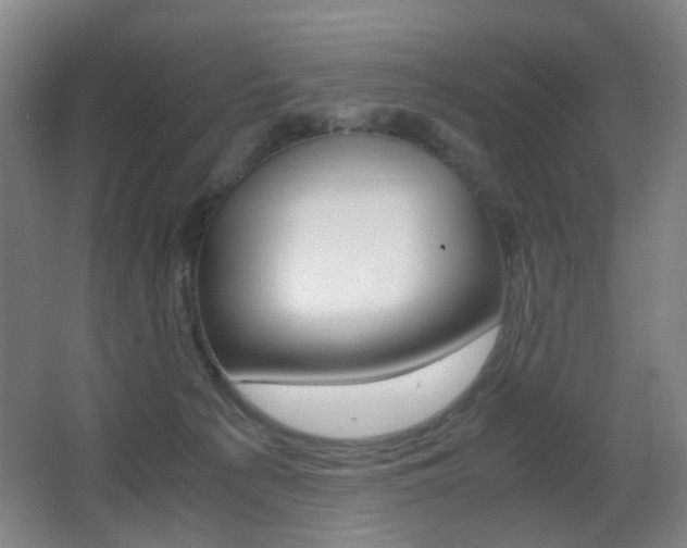 X0000062930225200601131123
