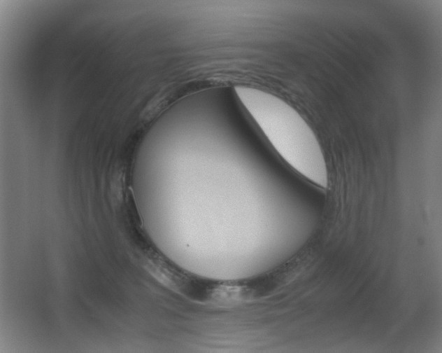 X0000062930227200601131123