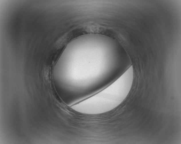 X0000062930233200601131122