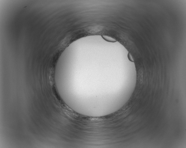 X0000062930234200601131122