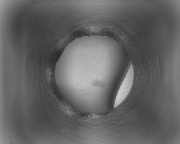 X0000062930235200601131122