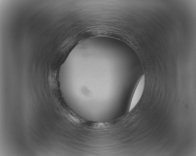 X0000062930239200601131122