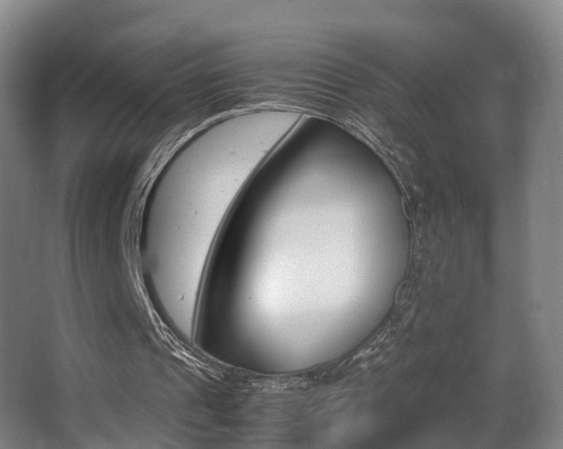 X0000062930241200601131121